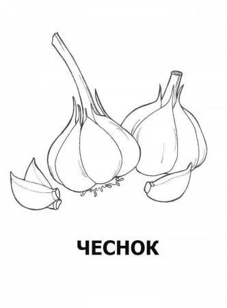 Чеснок раскраска для детей