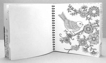 Chameleon cc0501