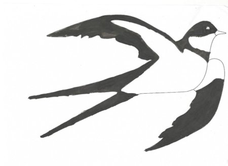 Ласточка раскраска для детей