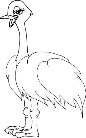 Страус эму для детей