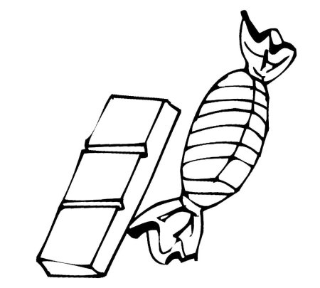 Шоколад раскраска для детей