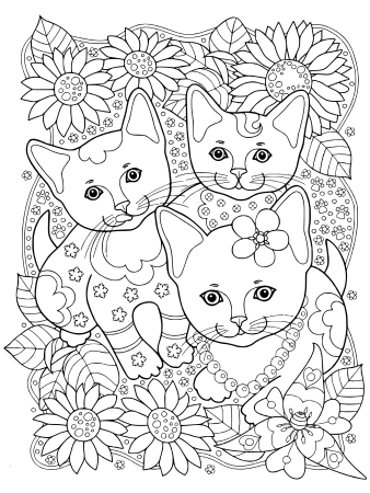 Раскраска кот