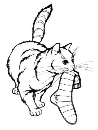 Раскраска кошечка