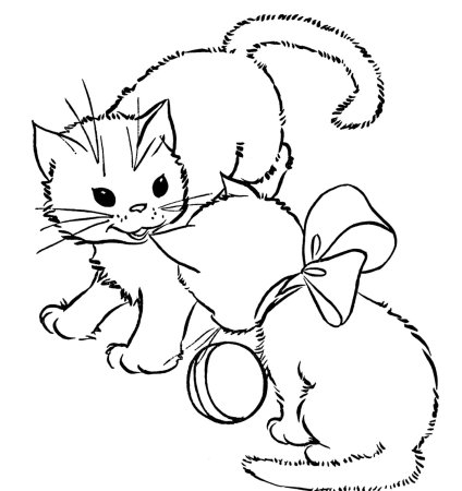 Раскраски коты