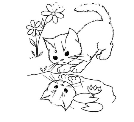 Раскраски красивые котики