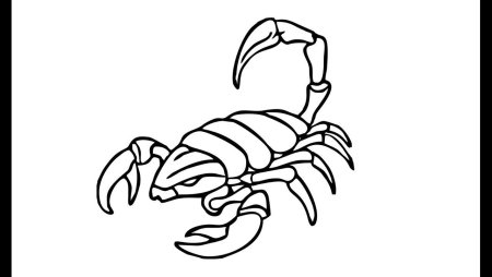 Скорпион рисунок