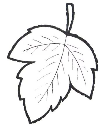 Листья раскраска