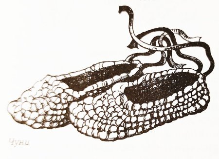 Лапти рисунок