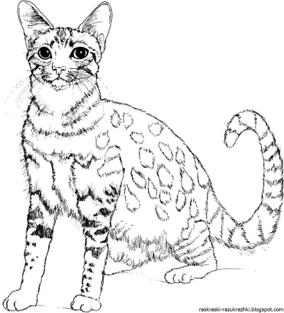 Кошка для раскрашивания