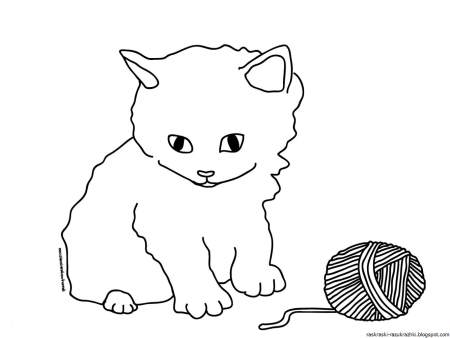 Раскраска. Котики