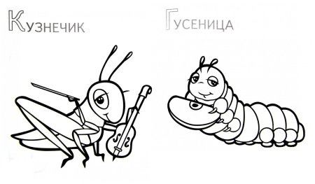 Кузнечик раскраска для детей