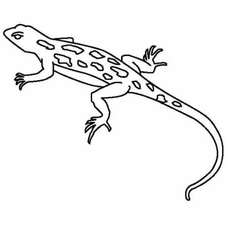 Геккон раскраска