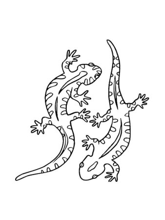 Ящерица картинка раскраска