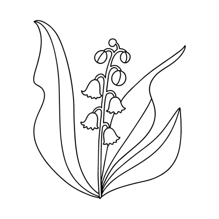 Ландыш Майский разукрашка