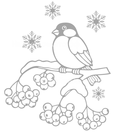 Снегирь на ветке трафарет