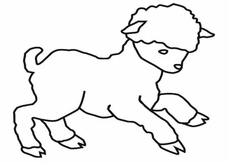 Ягненок раскраска для детей