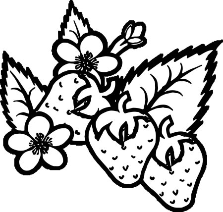 Земляника раскраска