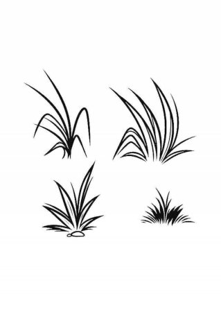 Трава карандашом