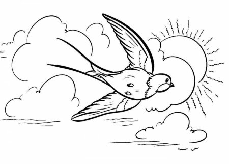 Ласточка раскраска