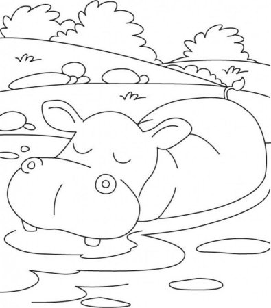 Hippo раскраска