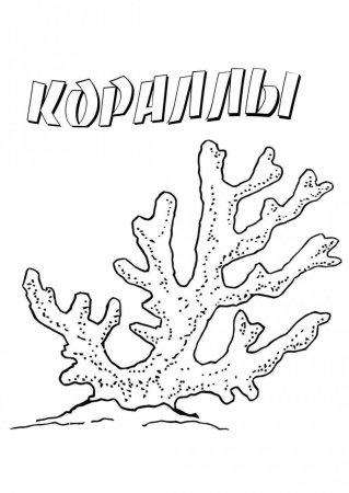 Кораллы раскраска