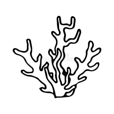Кораллы для раскрашивания