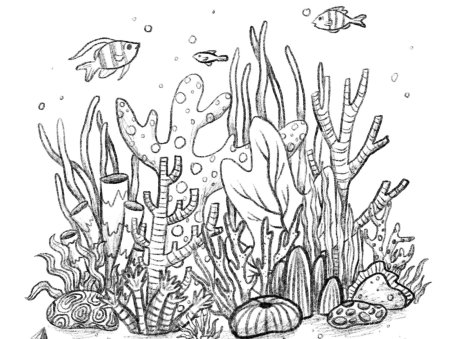 Раскраска морские водоросли
