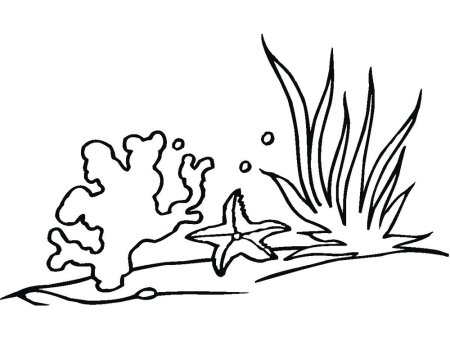 Раскраска морские водоросли