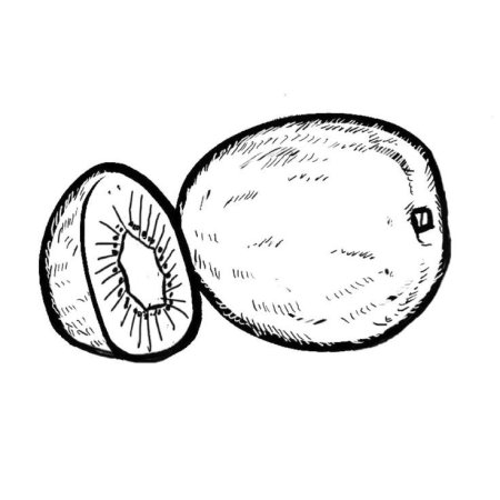 Киви фрукт раскраска для детей