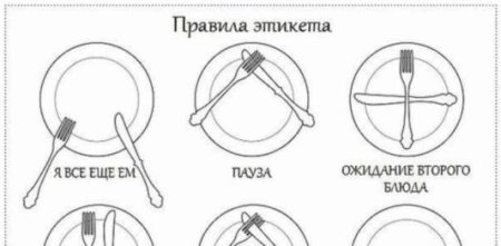 Столовый этикет для детей