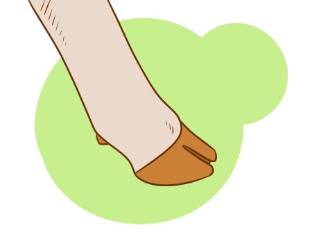 Копыта векторное изображение