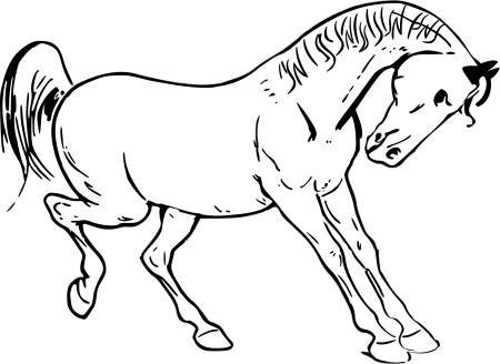Контурные рисунки