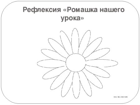 Рефлексия цветок
