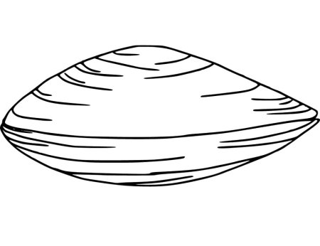 Морская Устрица раскраска