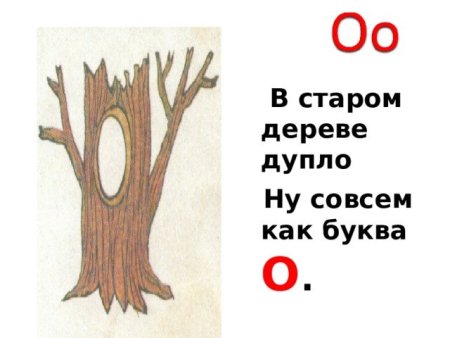 Дерево с дуплом раскраска