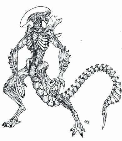 Xenomorph Alien чертеж
