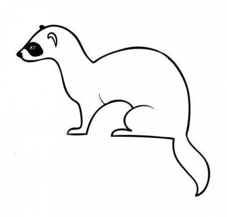 Ласка раскраска