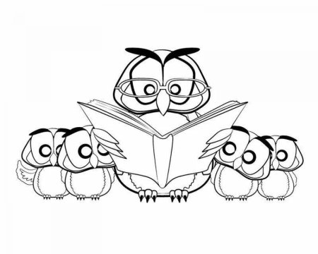 Сова с книгой раскраска
