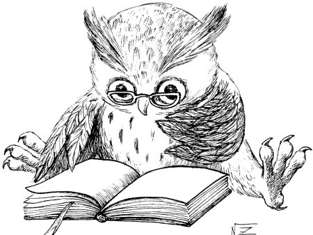 Раскраска умная Сова с книгой
