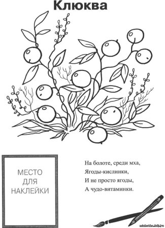 Клюква раскраска для детей