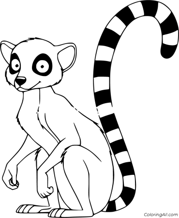 Кошачий лемур раскраска
