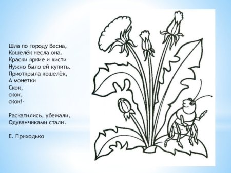 Первоцветы задания для детей