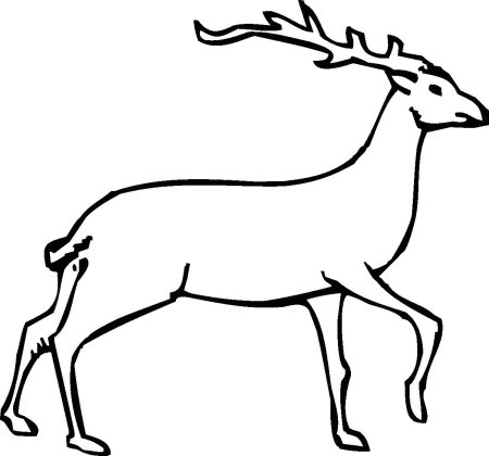 Олень раскраска