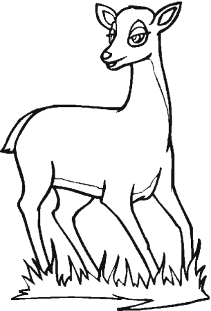 Косуля раскраска для детей