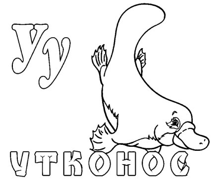 Разукрашка Утконос