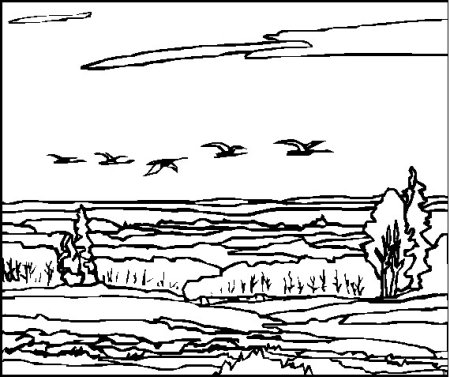 Равнина раскраска
