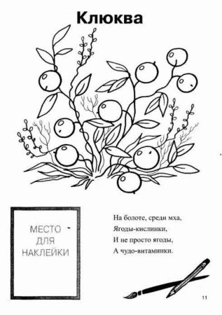Клюква раскраска