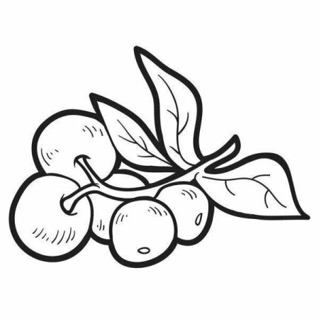 Клюква раскраска для детей