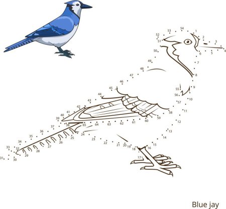 Птичка рисунок точками