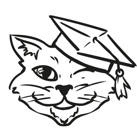 Кот ученый